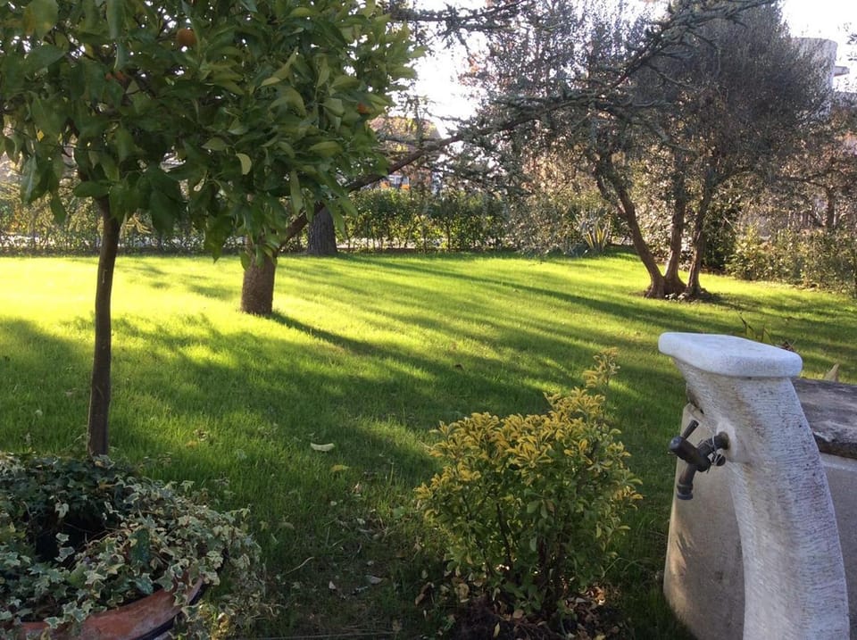Day, Garden
