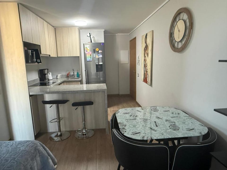 Vanguardia Centro Apartment in Temuco