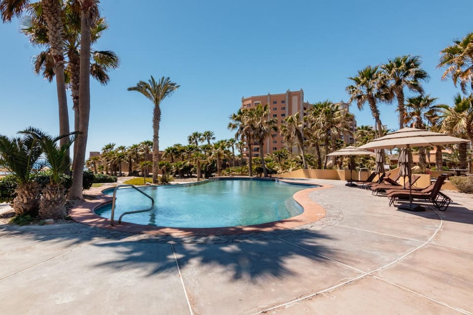 Garden, Swimming pool