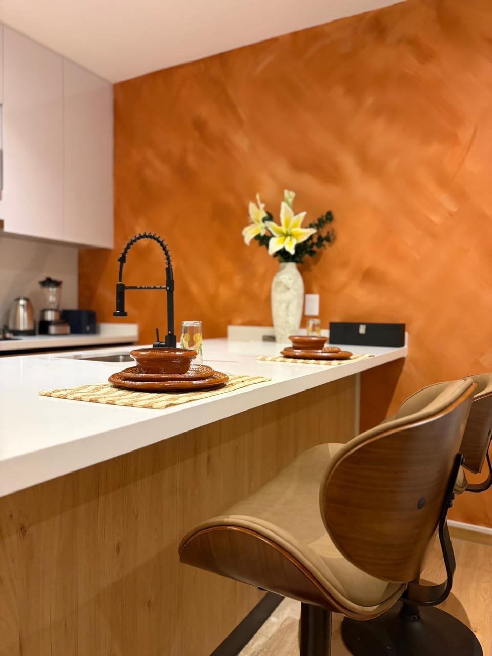 Casa Valana Apartment in Mexico City