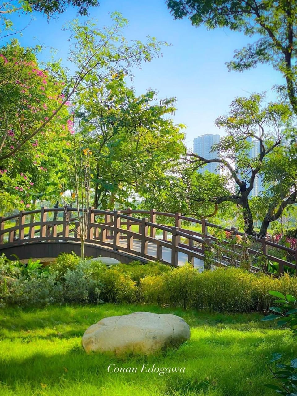 VHE Sky Forest Ecopark - Best Luxury Homestay Near Ha Noi Capital Apartment in Vietnam