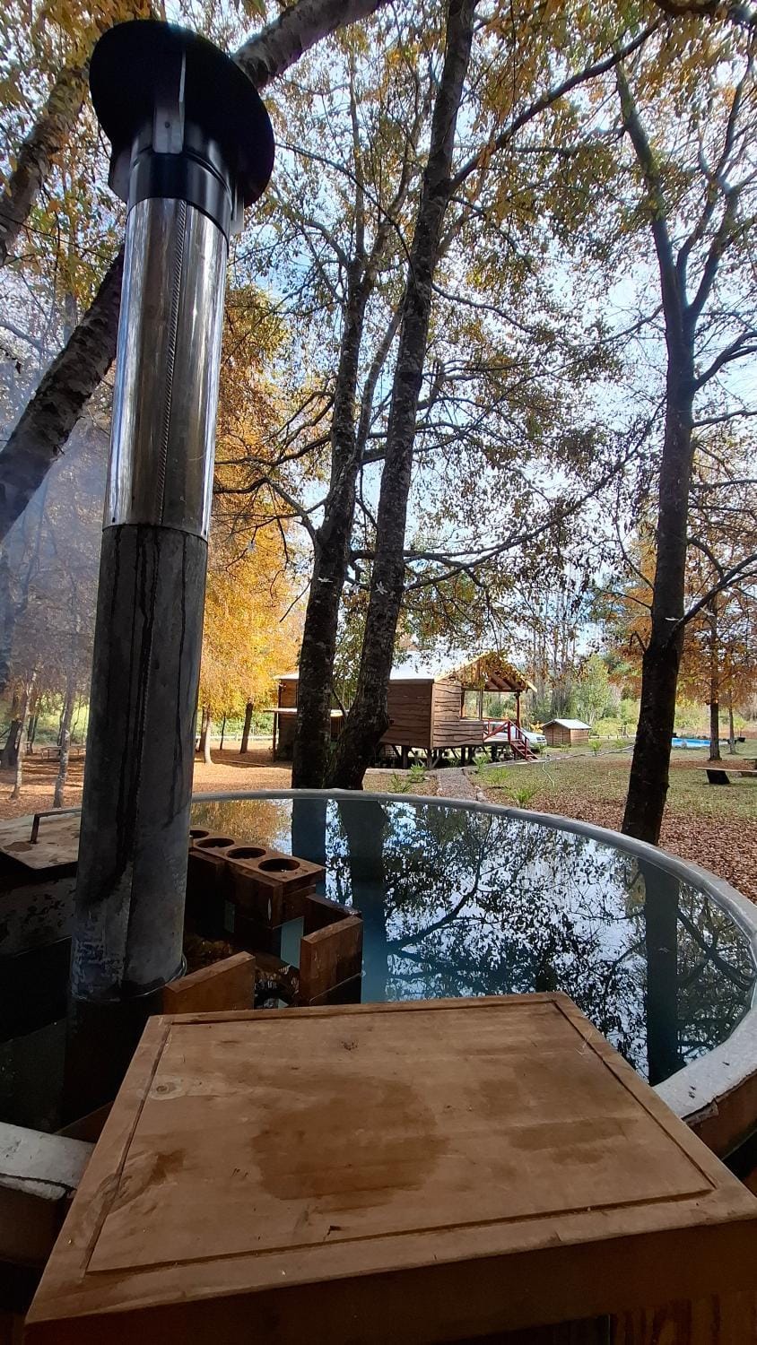 Refugio El Rocio lodge tinaja,piscina,bosque House in Bio Bio, Chile