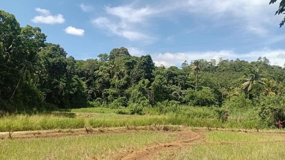 RanaHansa Villa Vacation rental in Sri Lanka