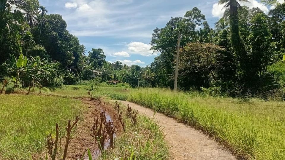 RanaHansa Villa Vacation rental in Sri Lanka