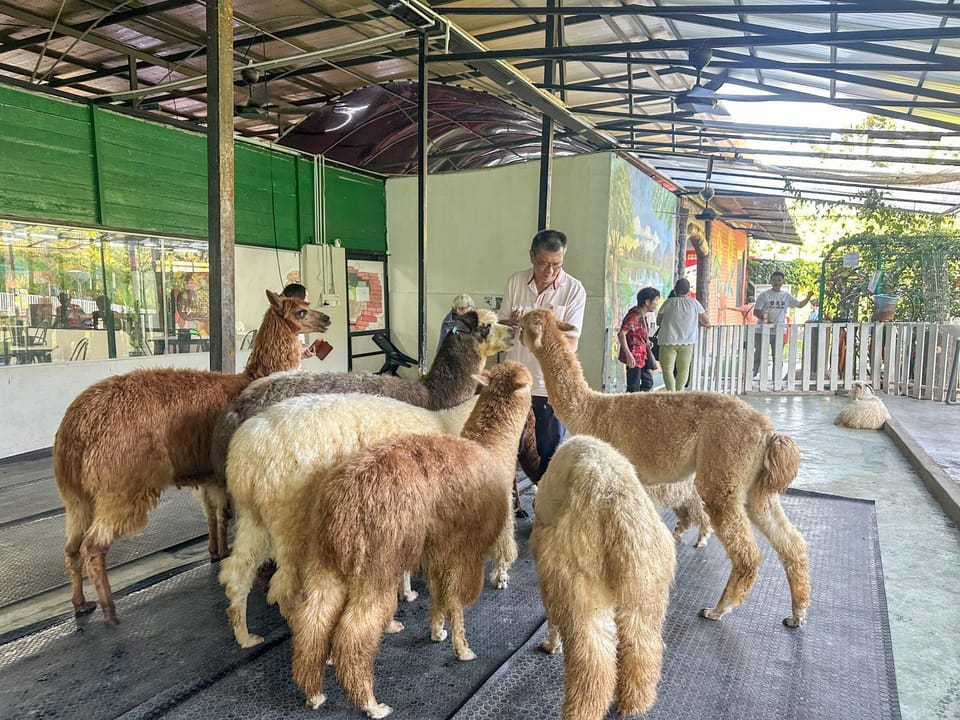 Animals
