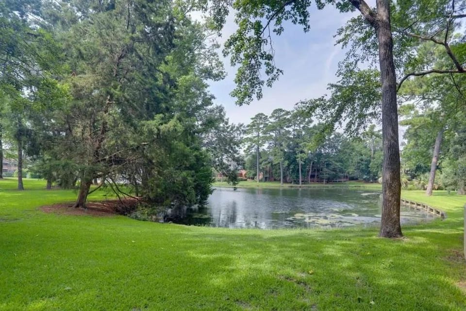 Lake view