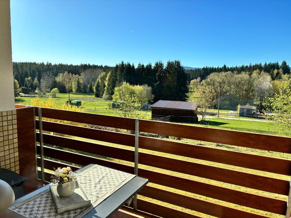 Wander-Appartement im Fichtelgebirge Apartment in Bavaria