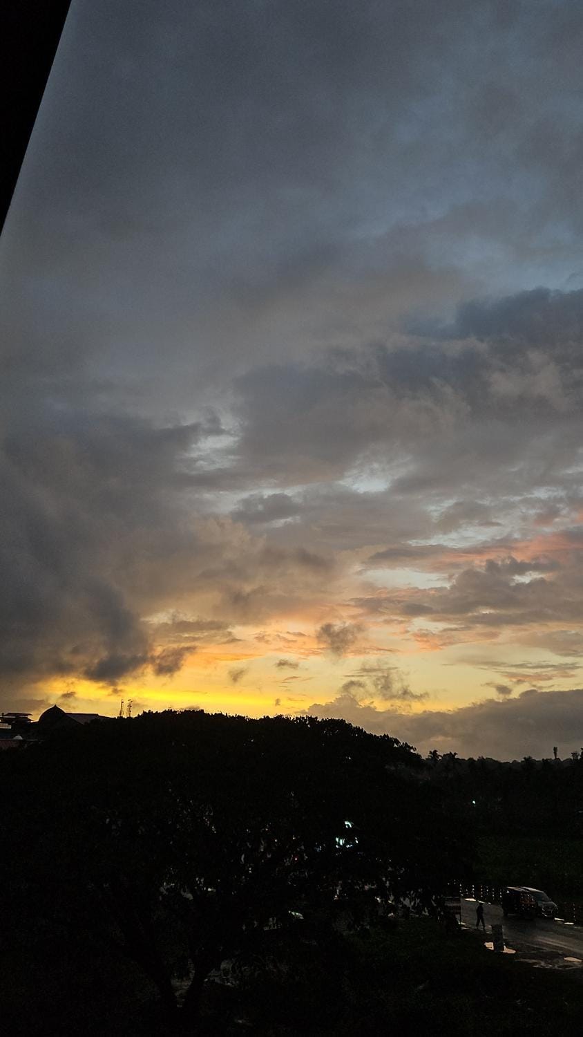 View (from property/room)