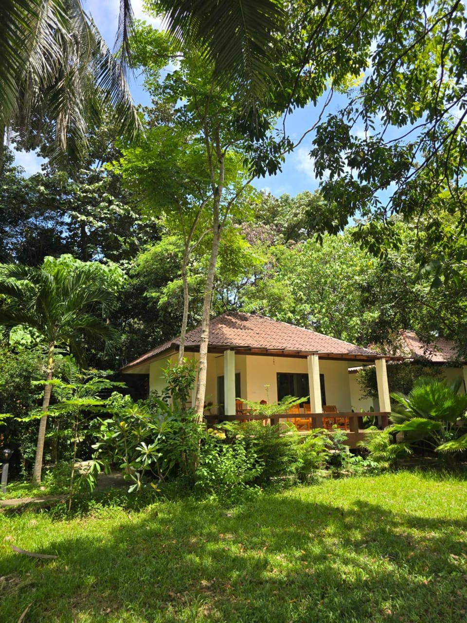 Property building, Spring, Day, Natural landscape, Garden, Garden view