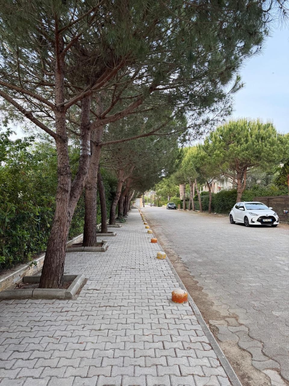 Neighbourhood, Street view, Parking