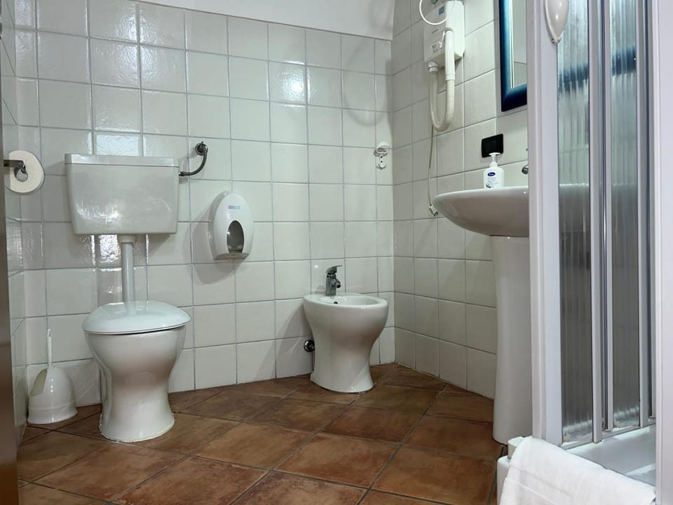 Shower, Toilet, bidet, towels
