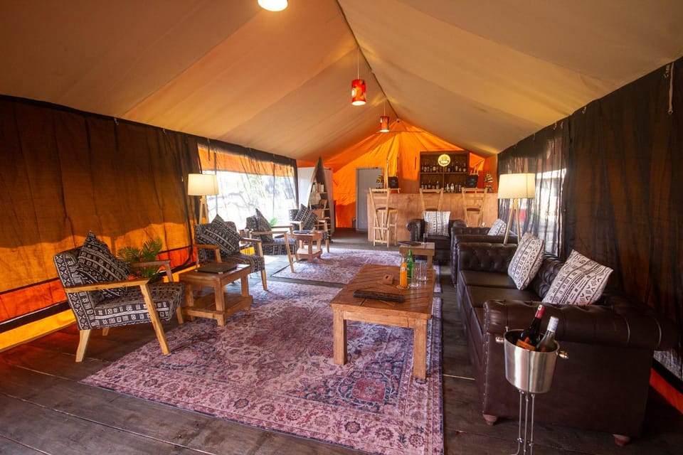 Lounge or bar, Dining area, furniture