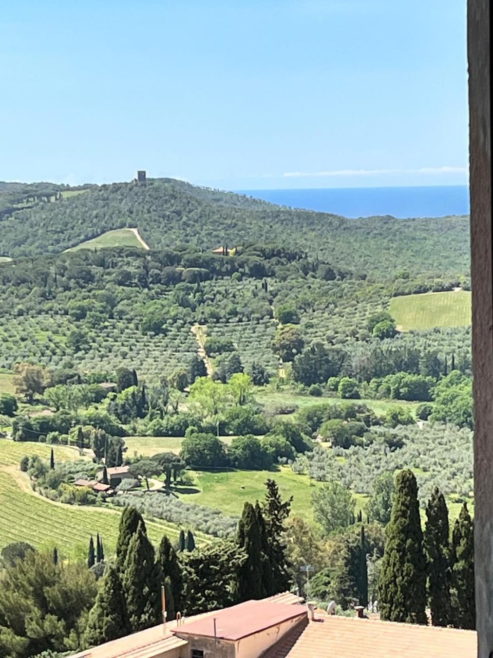 View (from property/room)