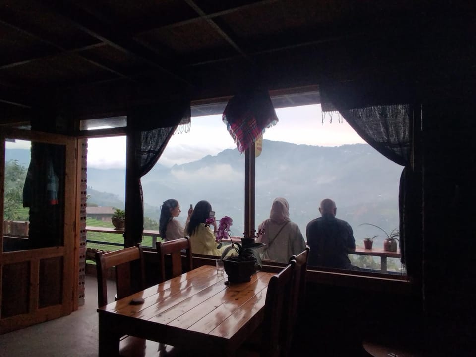 Dining area, group of guests