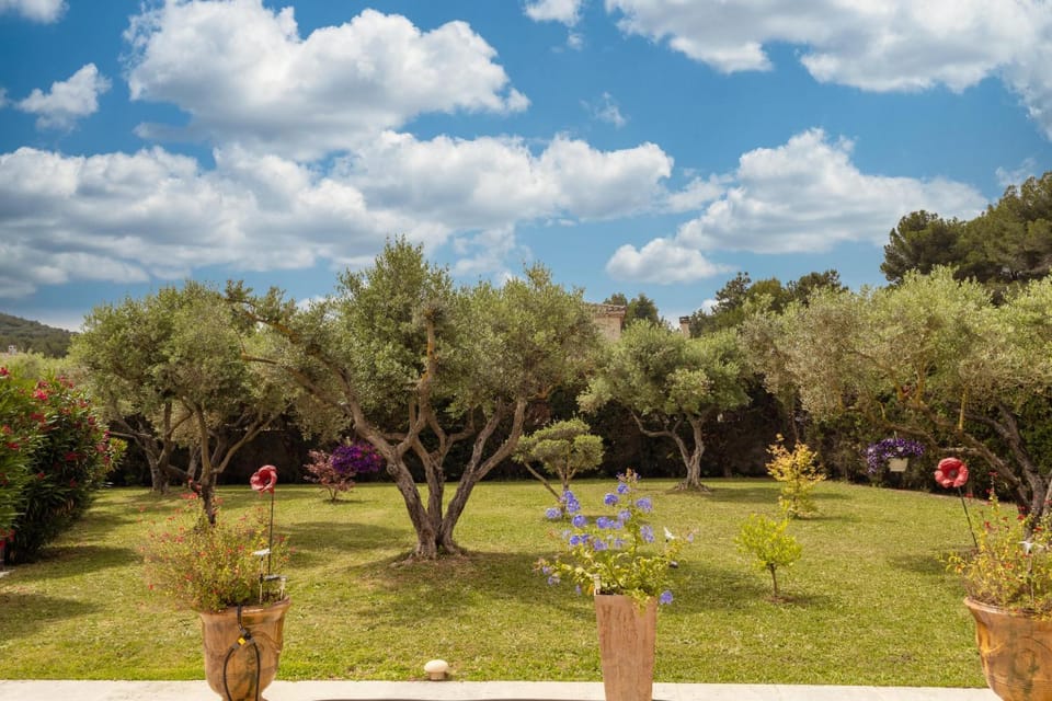 Patio, Garden, Garden view