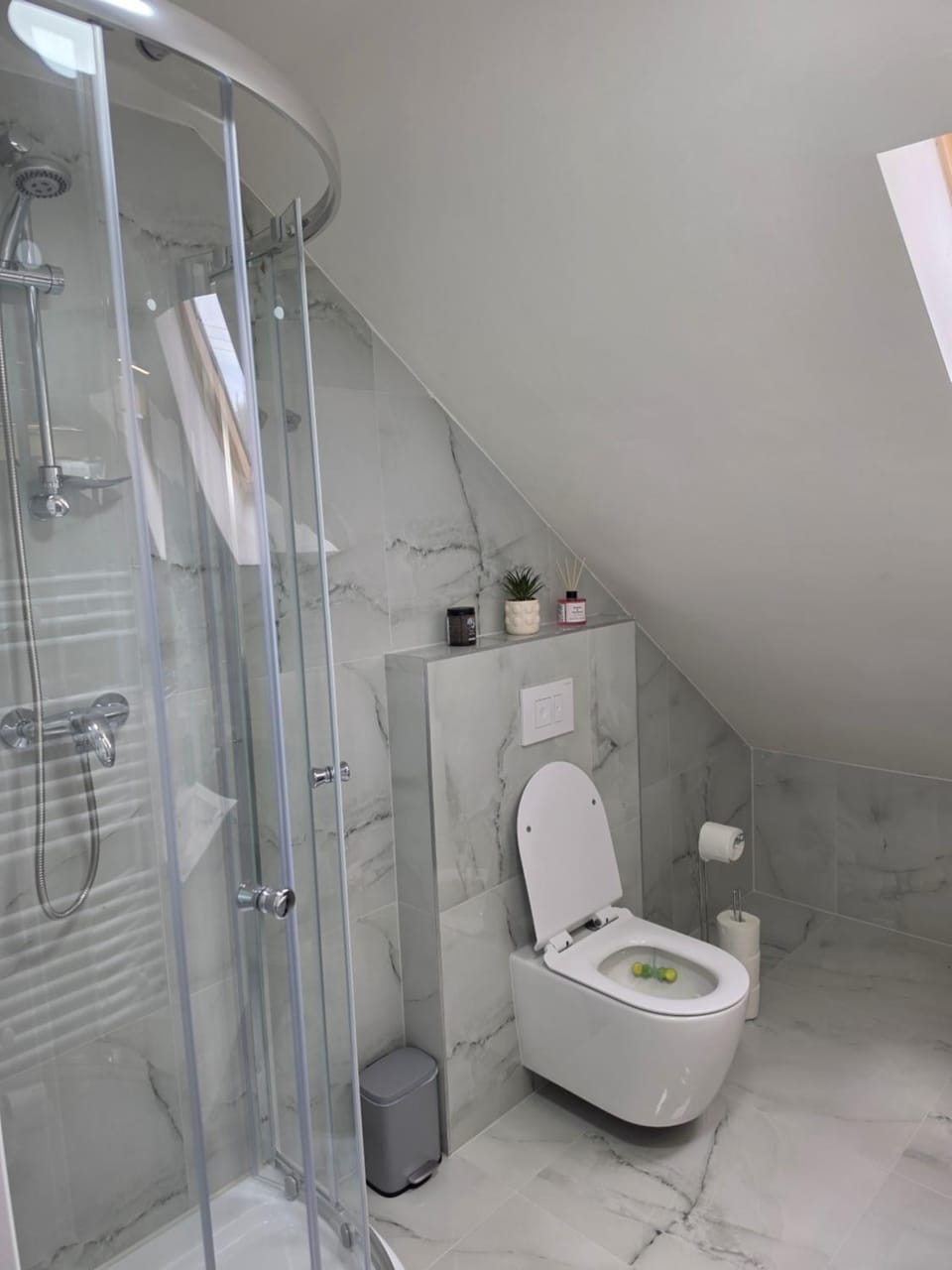 Shower, Toilet