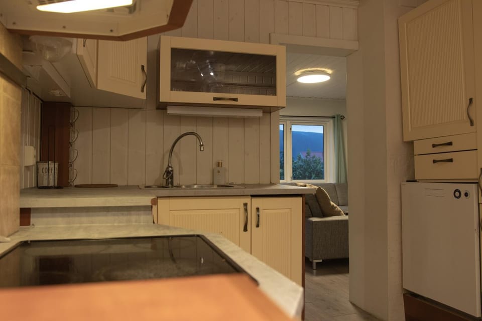 Kitchen or kitchenette, oven, pet friendly, stove