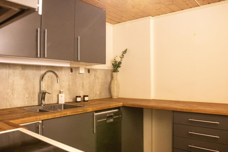 Kitchen or kitchenette, pet friendly, stove