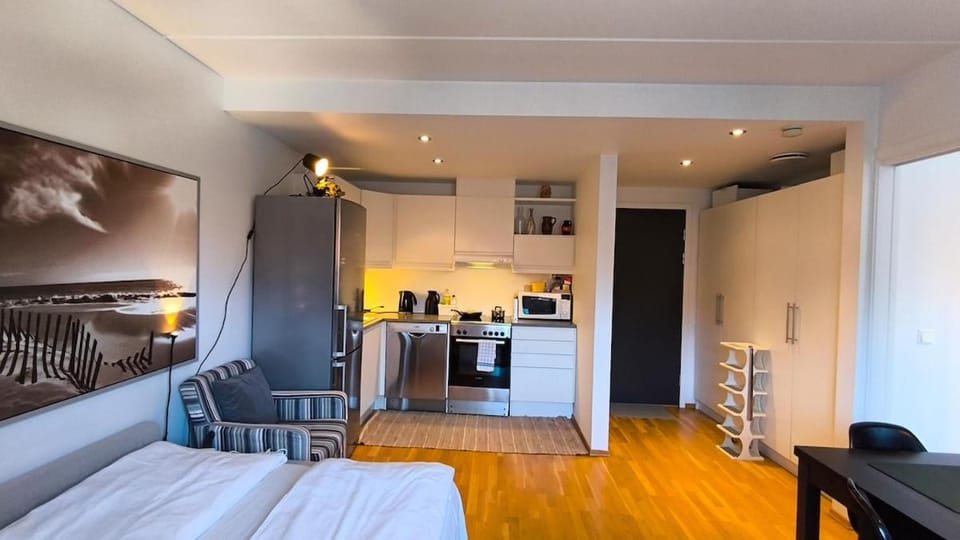Happy Apartment Apartment in Oslo