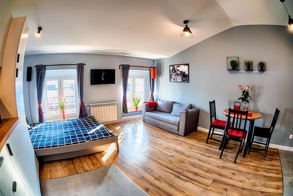Piotrkowska Attic Apartment Apartment in Poland