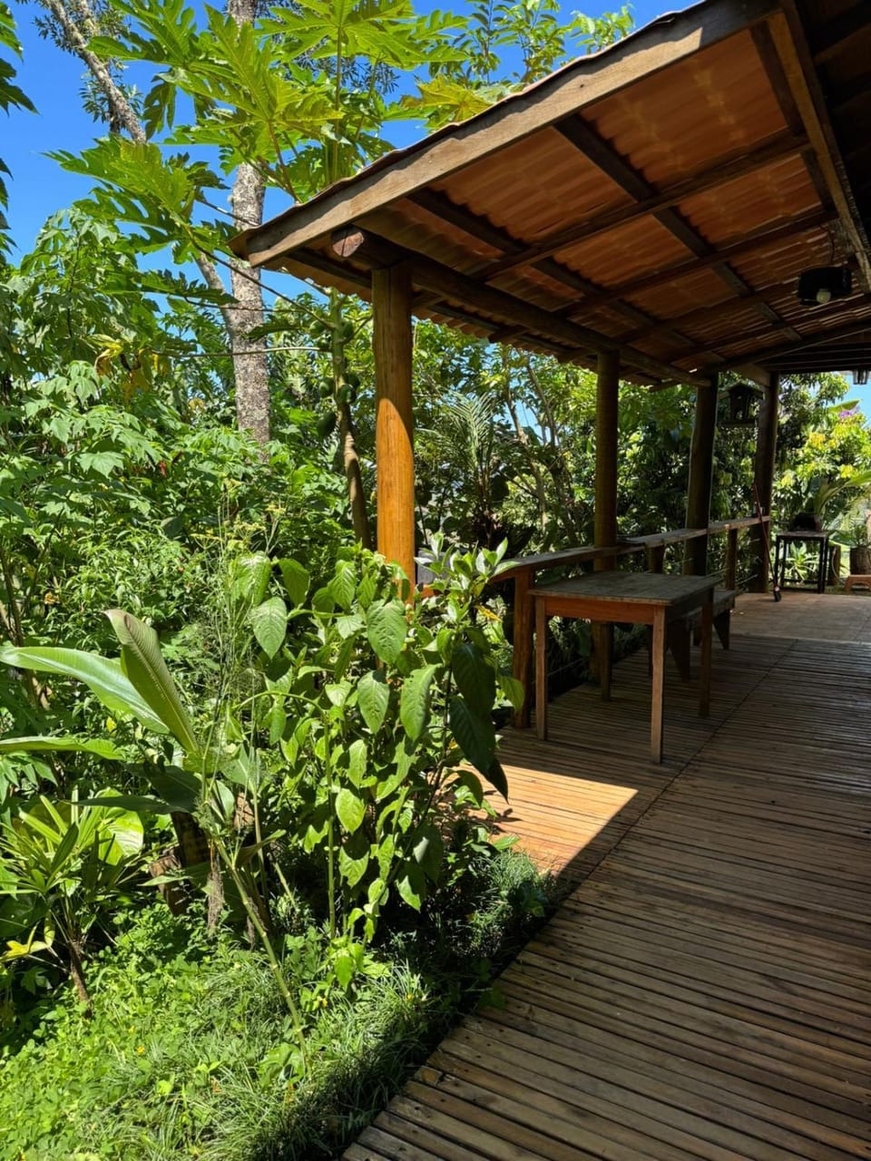 Day, Garden, Garden, Garden view