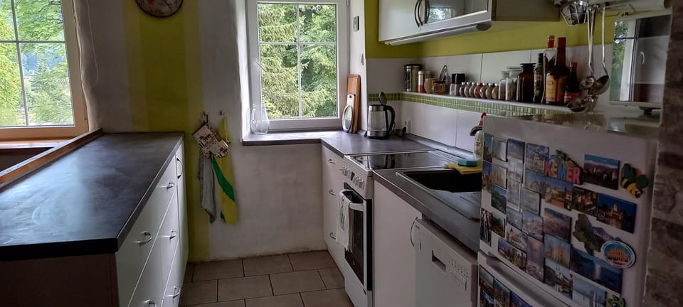 Kitchen or kitchenette, dishwasher, oven, pet friendly, stove