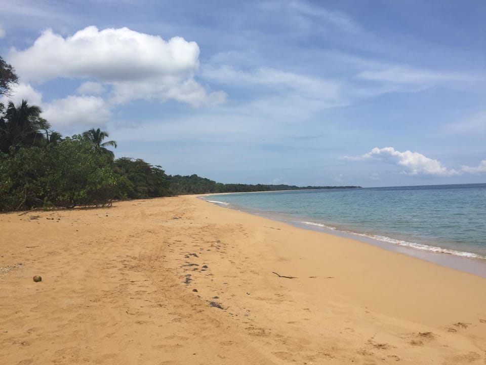 Day, Natural landscape, Beach