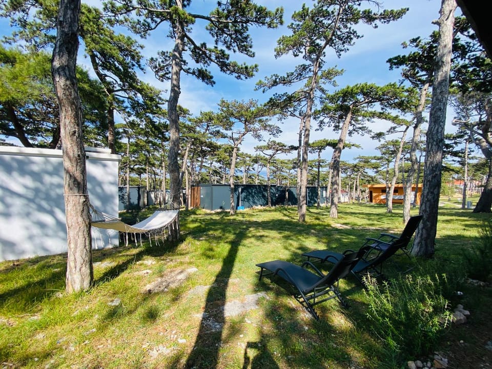 Pine House House in Zadar County
