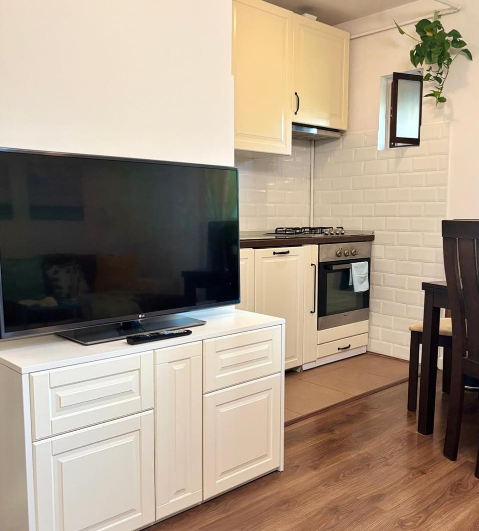TV and multimedia, Business facilities, Decorative detail, Seating area, Dining area, Area and facilities, Family, dishwasher, internet, oven, pet friendly, soundproof, stove, kitchen