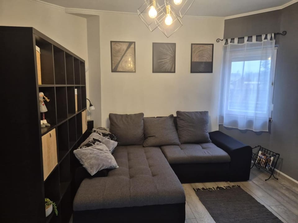 Csendes kertes ház Martinkán, Debrecentől 7km-re,romantikus pihenesre Apartment in Hungary