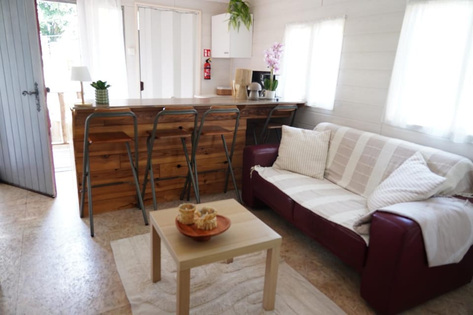 Tiny house met Coldtub 4pers The Firefly Apartment in Belgium