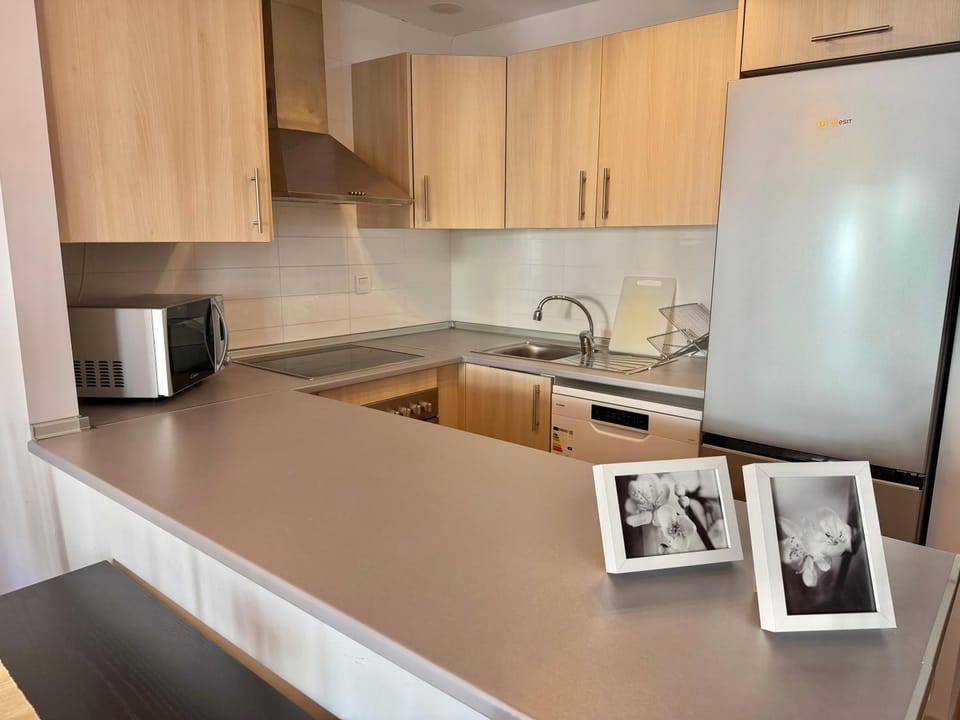 Kitchen or kitchenette, dishwasher, stove