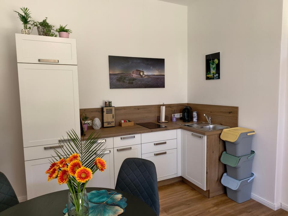 Kitchen or kitchenette, Dining area, stove