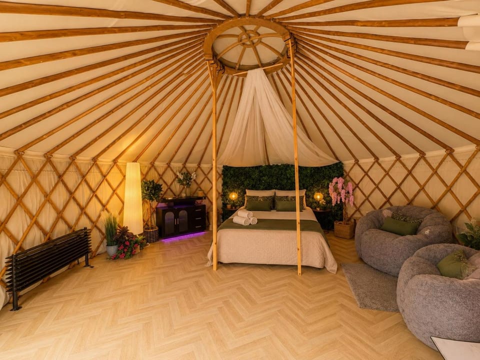 Bed, Living room, Photo of the whole room, Seating area, Bedroom