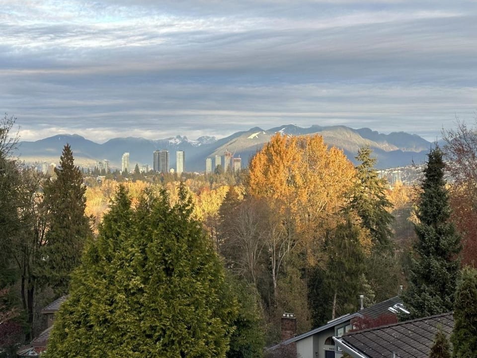 View (from property/room)