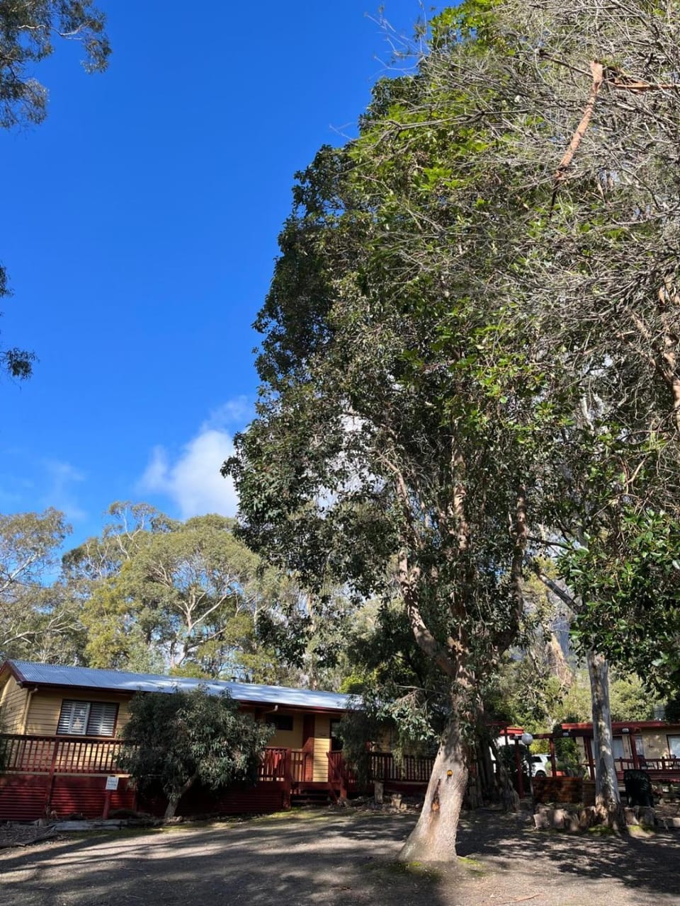 Froggys Quarters Cabin 8 Possum Cabin in Halls Gap