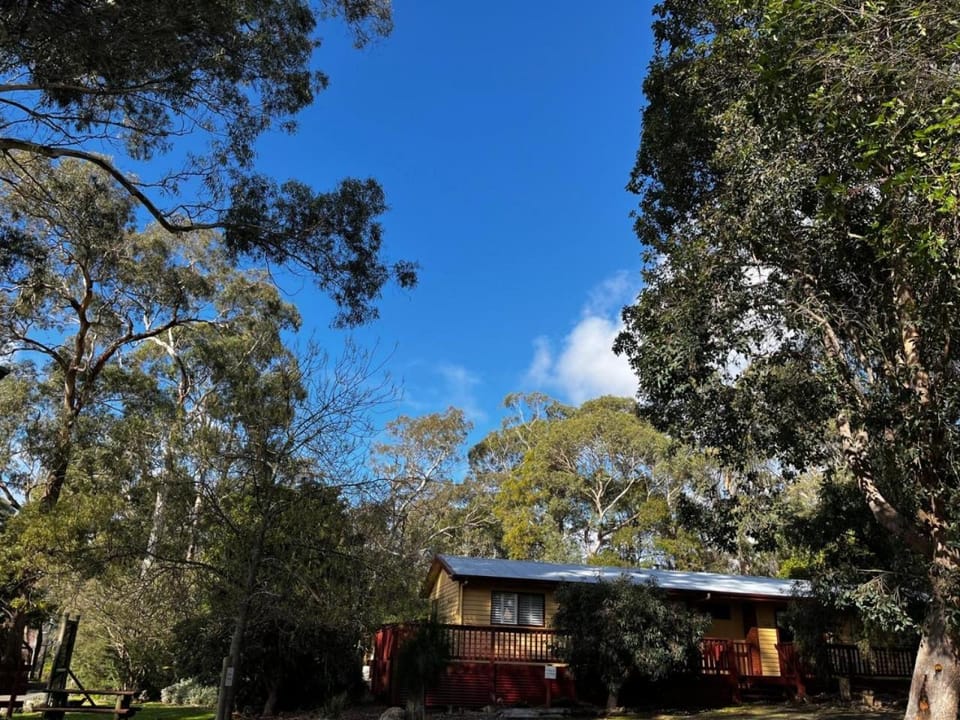 Froggys Quarters Cabin 8 Possum Cabin in Halls Gap