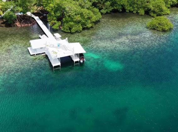 Casa Blanca Bed and Breakfast in Bocas del Toro Province