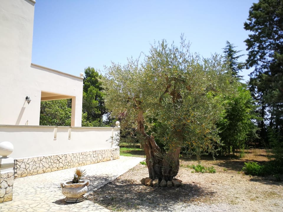 Property building, Garden
