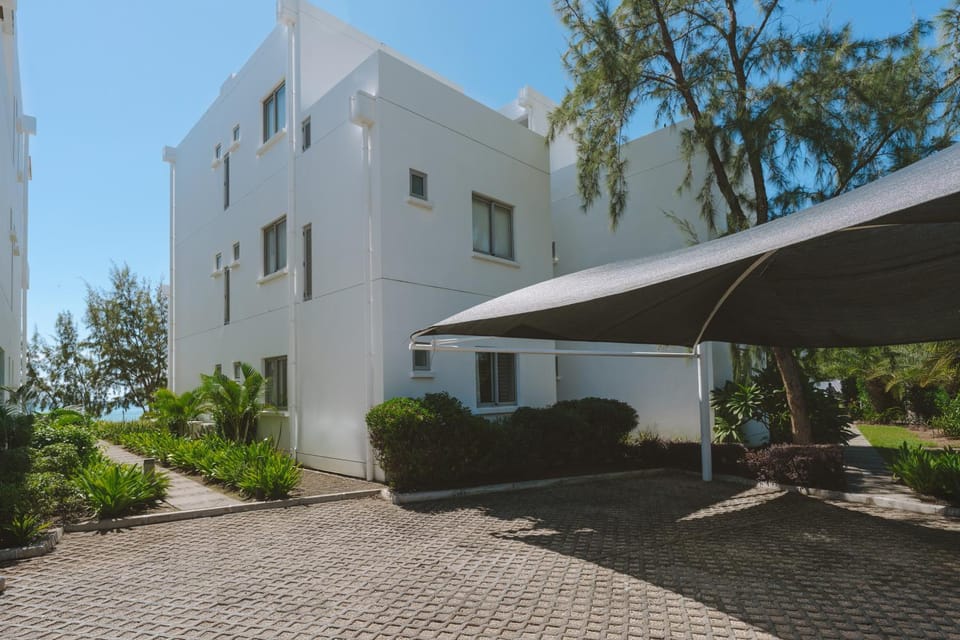 Property building, Day, Garden