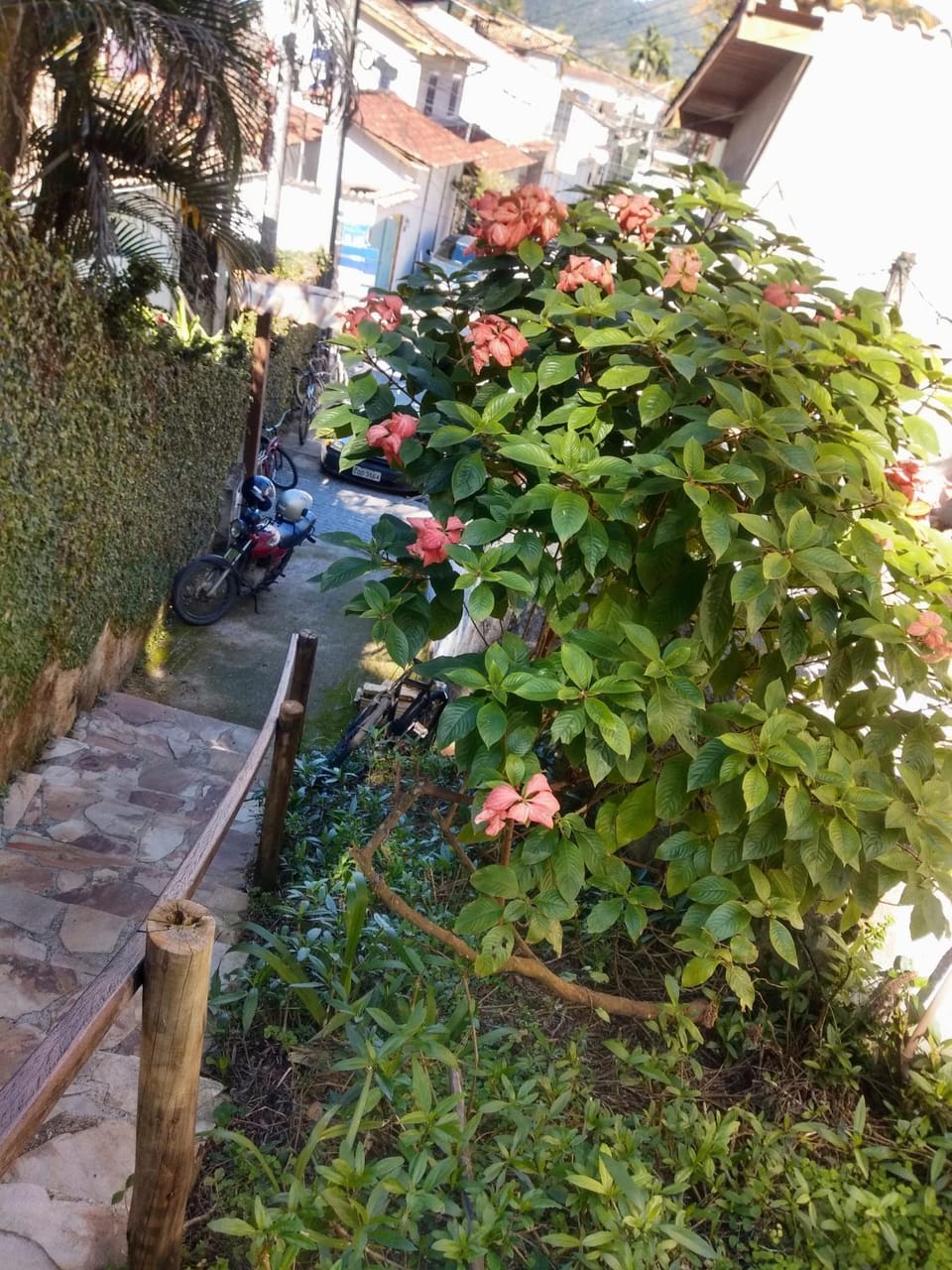 City view, Street view