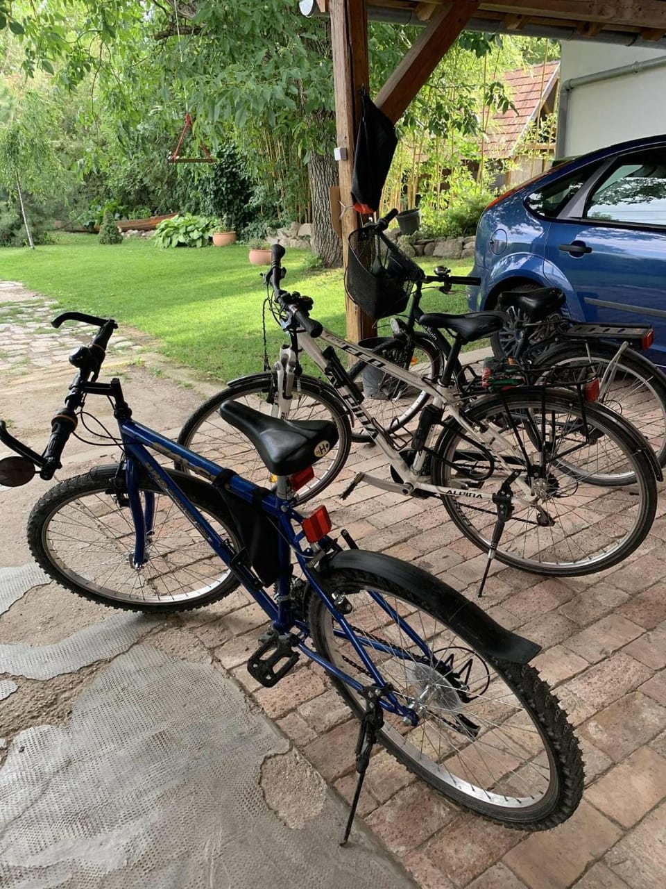 Cycling, Sports