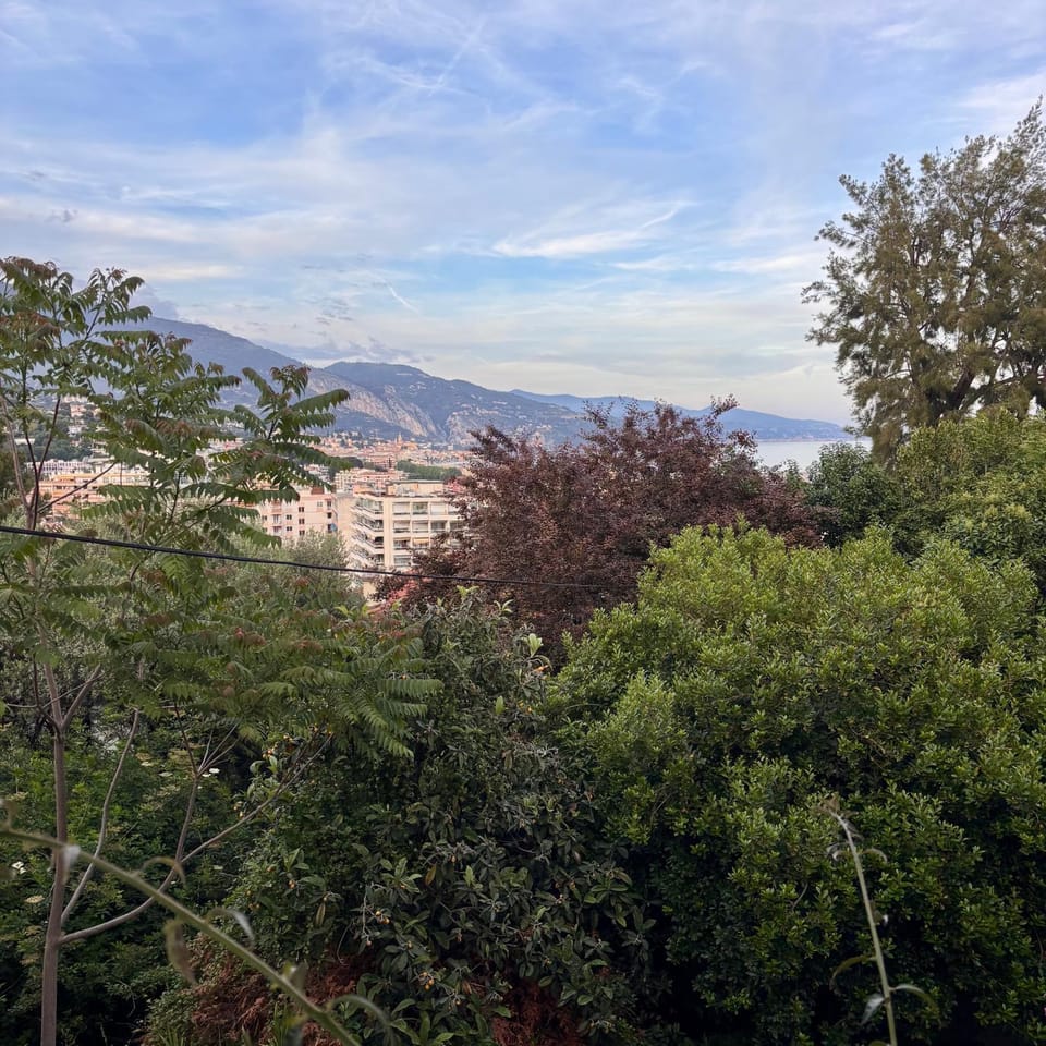 View (from property/room)