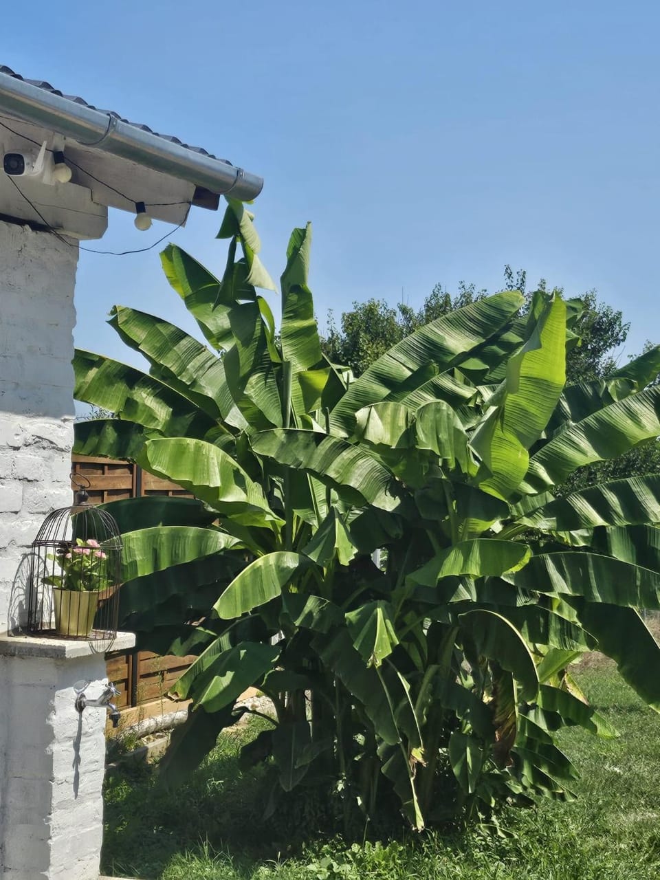 Urlaub in den Weinbergen House in Hungary