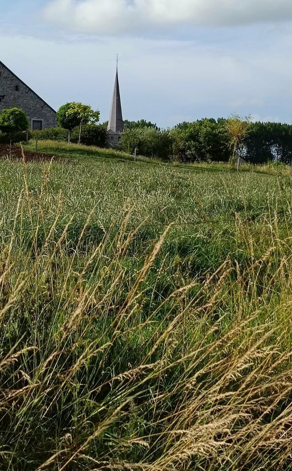 Natural landscape