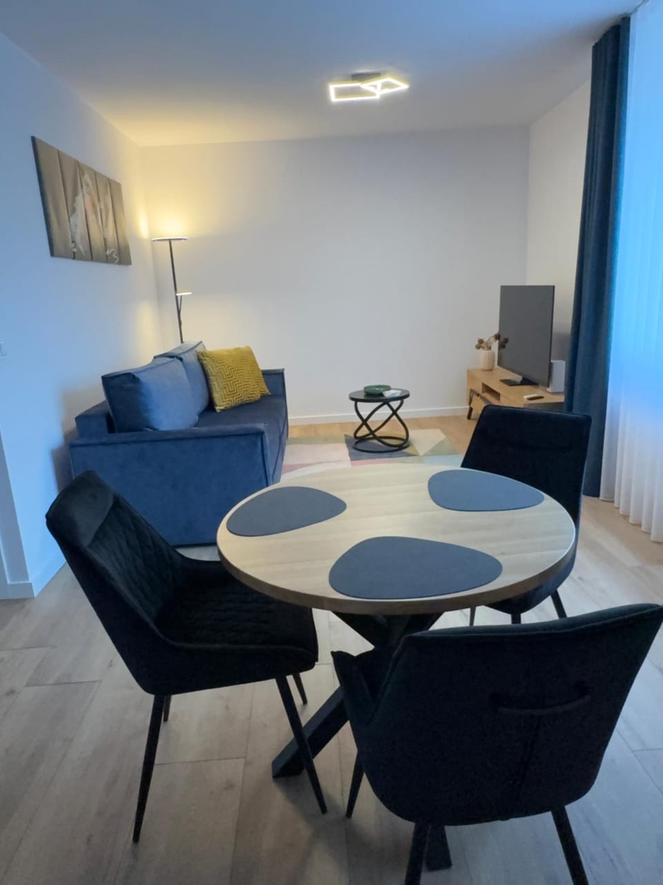 Photo of the whole room