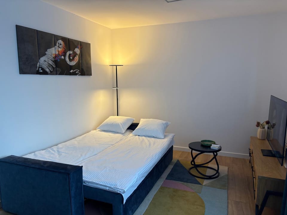 Cool Monkey Studio Apartment in Pomeranian Voivodeship