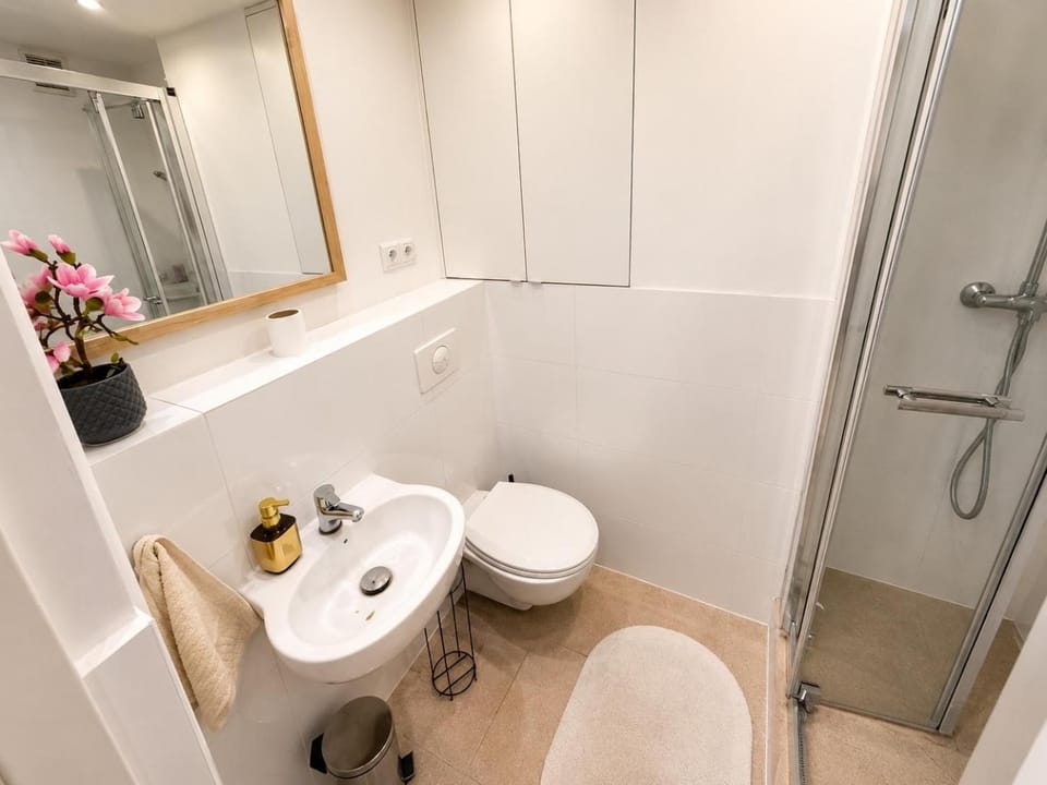 Shower, Toilet