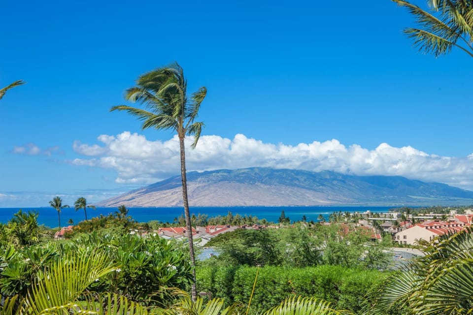 Maui Kamaole #L-202 Full Ocean View, Full A/C, Great Location, Great Rates Apartment in Wailea