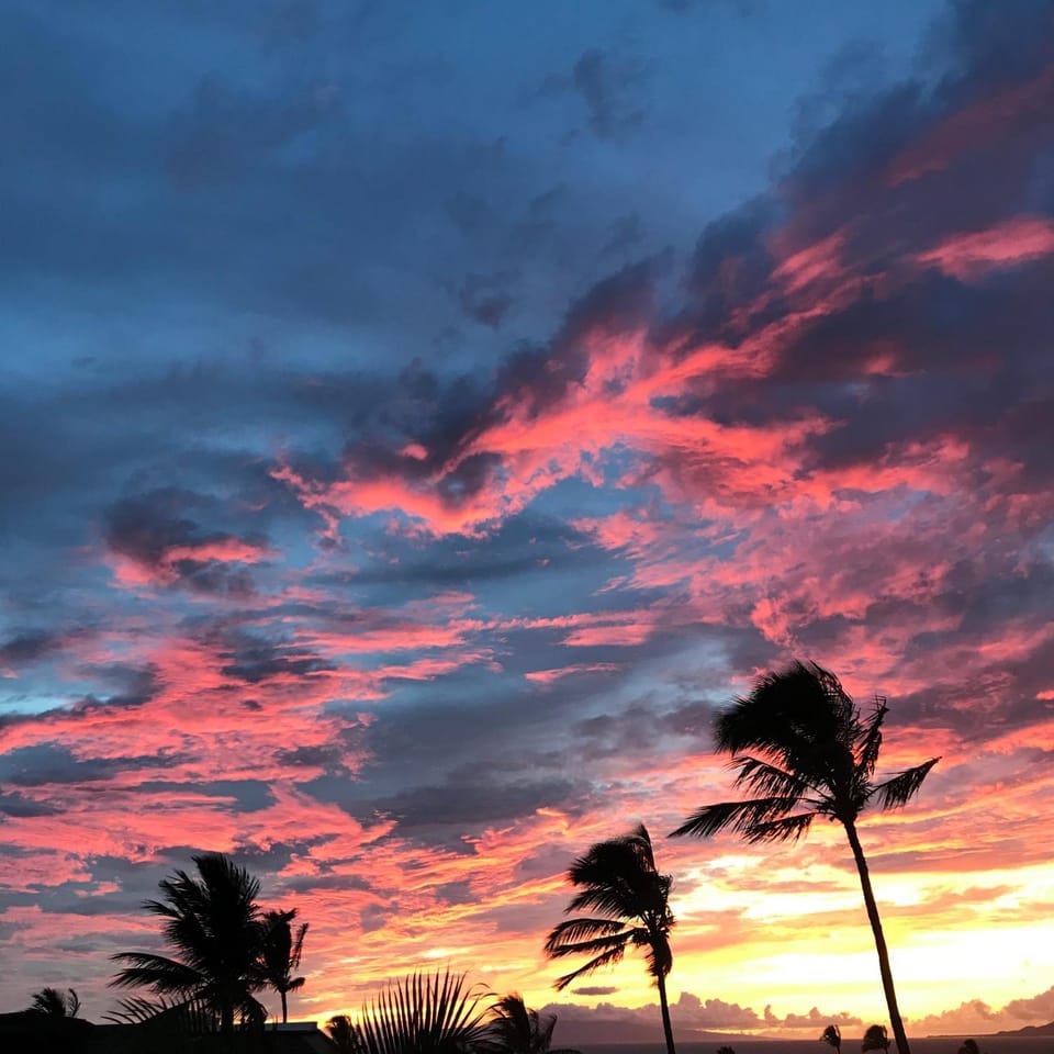 Maui Kamaole #L-205 Oceanview Kihei Vacation Rental, Full A/C, Great Location Apartment in Wailea
